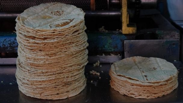 ¿En cuánto está el kilo de tortilla? | PRECIOS actualizados de diciembre 2024 en mexico